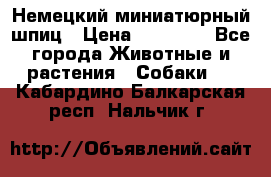 Немецкий миниатюрный шпиц › Цена ­ 60 000 - Все города Животные и растения » Собаки   . Кабардино-Балкарская респ.,Нальчик г.